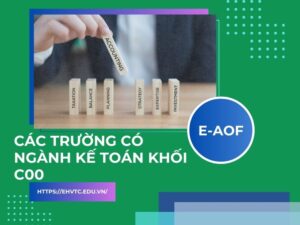 Các trường có ngành Kế toán khối C00