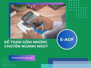 kế toán gồm những chuyên ngành nào