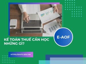 kế toán thuế cần học những gì