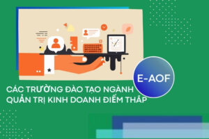 Các trường đào tạo ngành Quản trị Kinh doanh điểm thấp